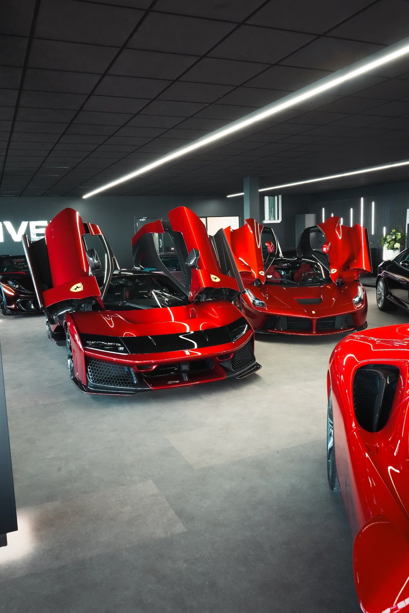 Ferrari F80 - Red